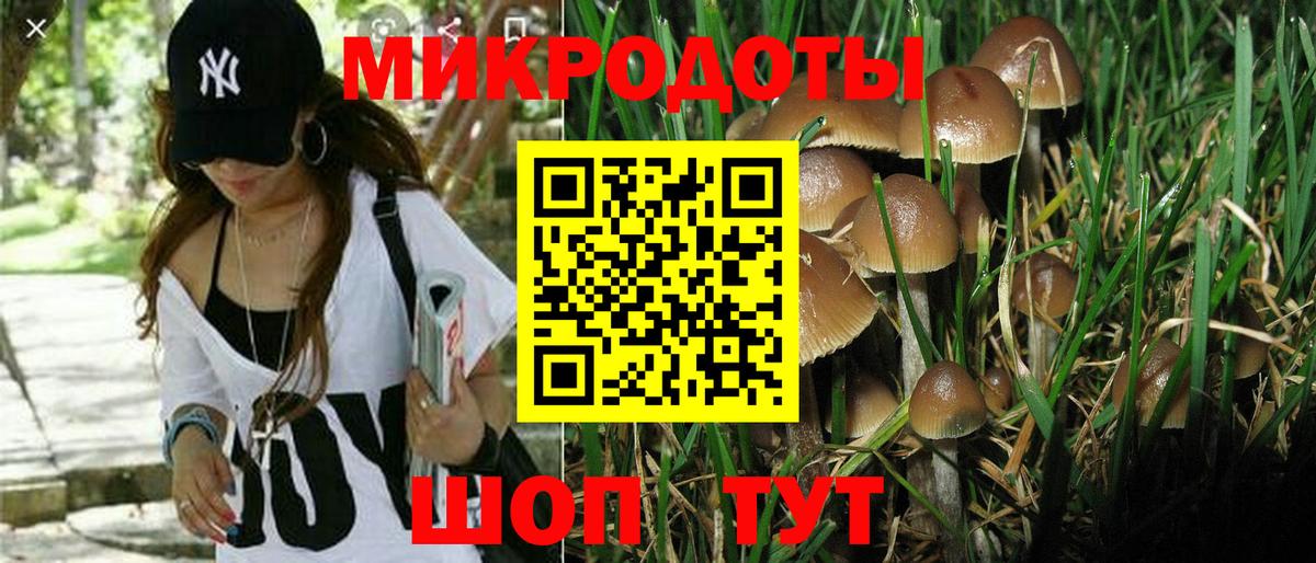 Галлюциногенные грибы мухоморы  Псилоцибиновые грибы Cubensis  Вход с VPN  Кандалакша 