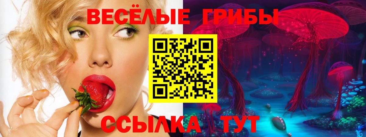 Псилоцибиновые грибы Psilocybine cubensis Кандалакша